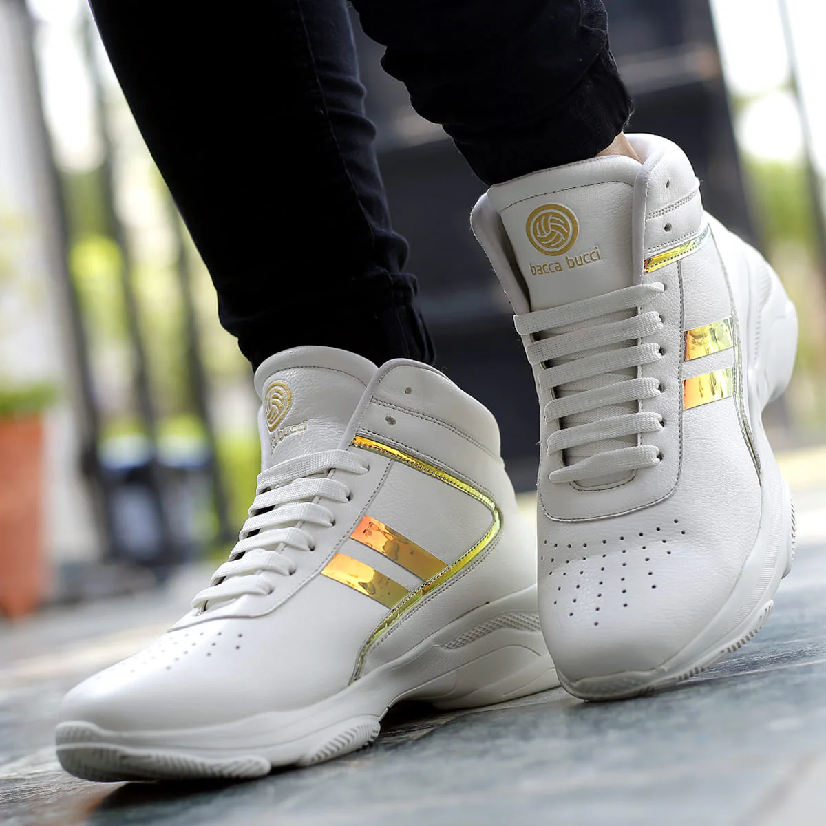Bacca Bucci Ignite - Image 3